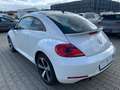 Volkswagen Beetle The Beetle Klimaaut. SHz Bluet. S-Dach Weiß - thumbnail 4