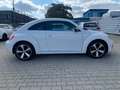 Volkswagen Beetle The Beetle Klimaaut. SHz Bluet. S-Dach Weiß - thumbnail 7