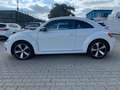 Volkswagen Beetle The Beetle Klimaaut. SHz Bluet. S-Dach Weiß - thumbnail 8