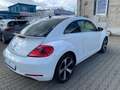 Volkswagen Beetle The Beetle Klimaaut. SHz Bluet. S-Dach Weiß - thumbnail 6