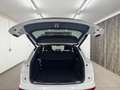 Audi Q5 40 2.0 TDI quattro 2xS line /MATRIX-LED/VIRTUAL/R Weiß - thumbnail 38