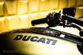 Ducati Diavel 1260 Lamborghini + No. 241 of 630 + Grün - thumbnail 19