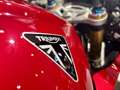 Triumph Speed Triple 1200 RR Rouge - thumbnail 10