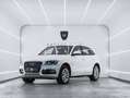 Audi Q5 2.0TDI CD quattro S Line Ed. S-T 190 - thumbnail 1