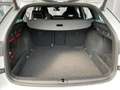 Skoda Octavia Combi 2.0 TSI RS OPF (EURO 6d) Bianco - thumbnail 10
