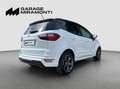 Ford EcoSport DISTRIBUZIONE E TAGLIANDO APPENA ESEGUITI Bianco - thumbnail 5