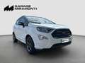 Ford EcoSport DISTRIBUZIONE E TAGLIANDO APPENA ESEGUITI Bianco - thumbnail 2