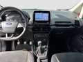 Ford EcoSport DISTRIBUZIONE E TAGLIANDO APPENA ESEGUITI Bianco - thumbnail 11
