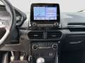 Ford EcoSport DISTRIBUZIONE E TAGLIANDO APPENA ESEGUITI Bianco - thumbnail 15