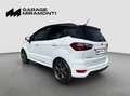 Ford EcoSport DISTRIBUZIONE E TAGLIANDO APPENA ESEGUITI Bianco - thumbnail 8