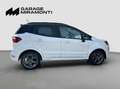 Ford EcoSport DISTRIBUZIONE E TAGLIANDO APPENA ESEGUITI Bianco - thumbnail 7
