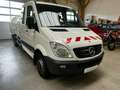 Mercedes-Benz Sprinter 516 CDI ZÖLLER-HAGEMANN Müllwagen Bianco - thumbnail 3