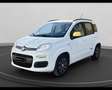 Fiat New Panda Panda 1.2 69cv E6 Lounge White - thumbnail 1