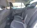 Skoda Fabia 1.0 TSI 95 DRIVE 125 ANS garantie 12 mois Bianco - thumbnail 12