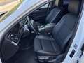 BMW 525 525d Luxury Blanco - thumbnail 9