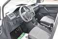 Volkswagen Caddy 4Motion 2.0 TDI Kasten Weiß - thumbnail 22