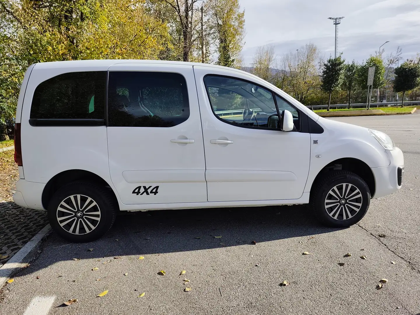 Peugeot Partner Tepee 4x4 10.000 + iva Bianco - 2