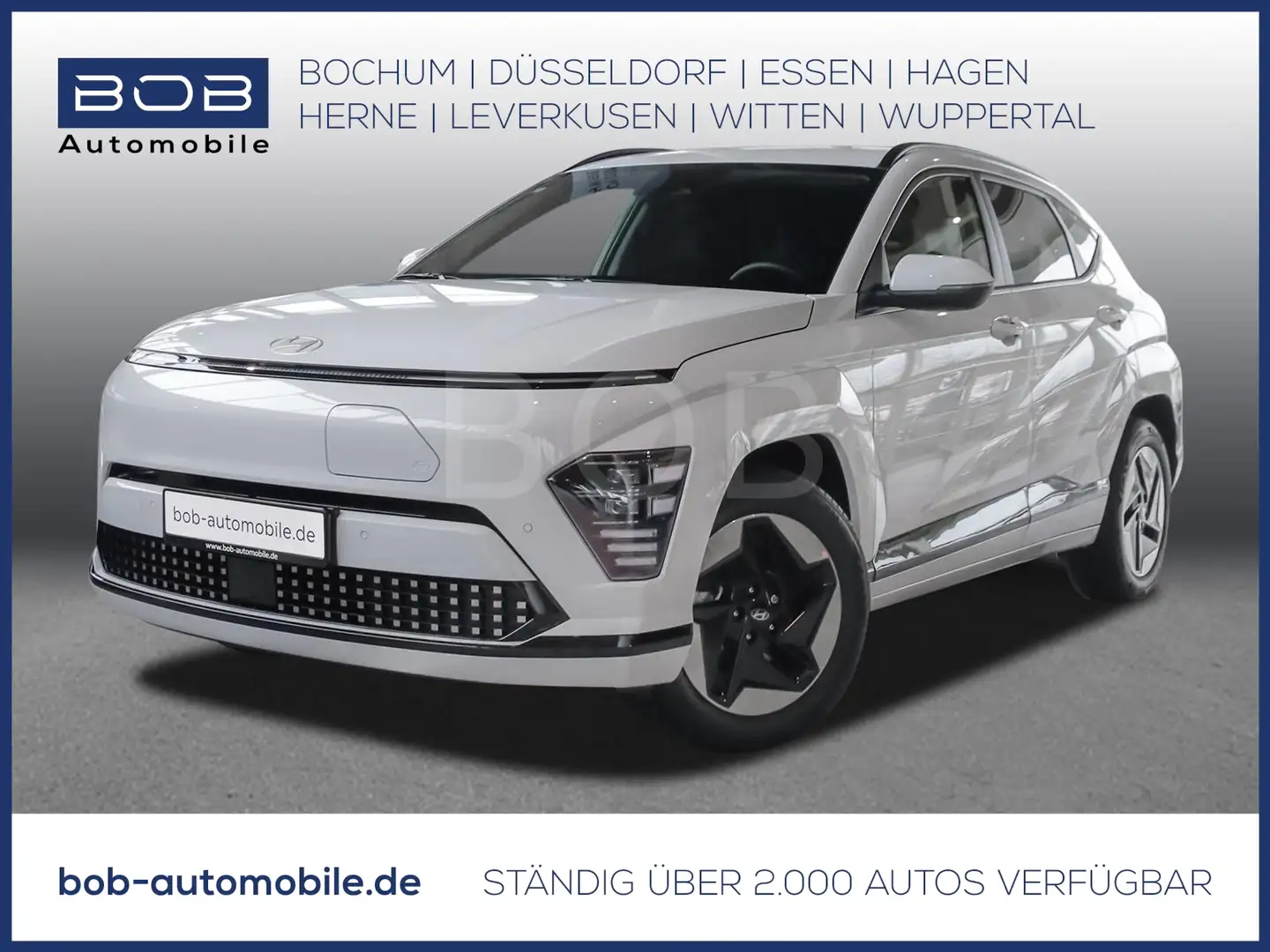 Hyundai KONA Elektro SX2 48,4kWh TREND el. Heckklappe 8-fach be Alb - 1