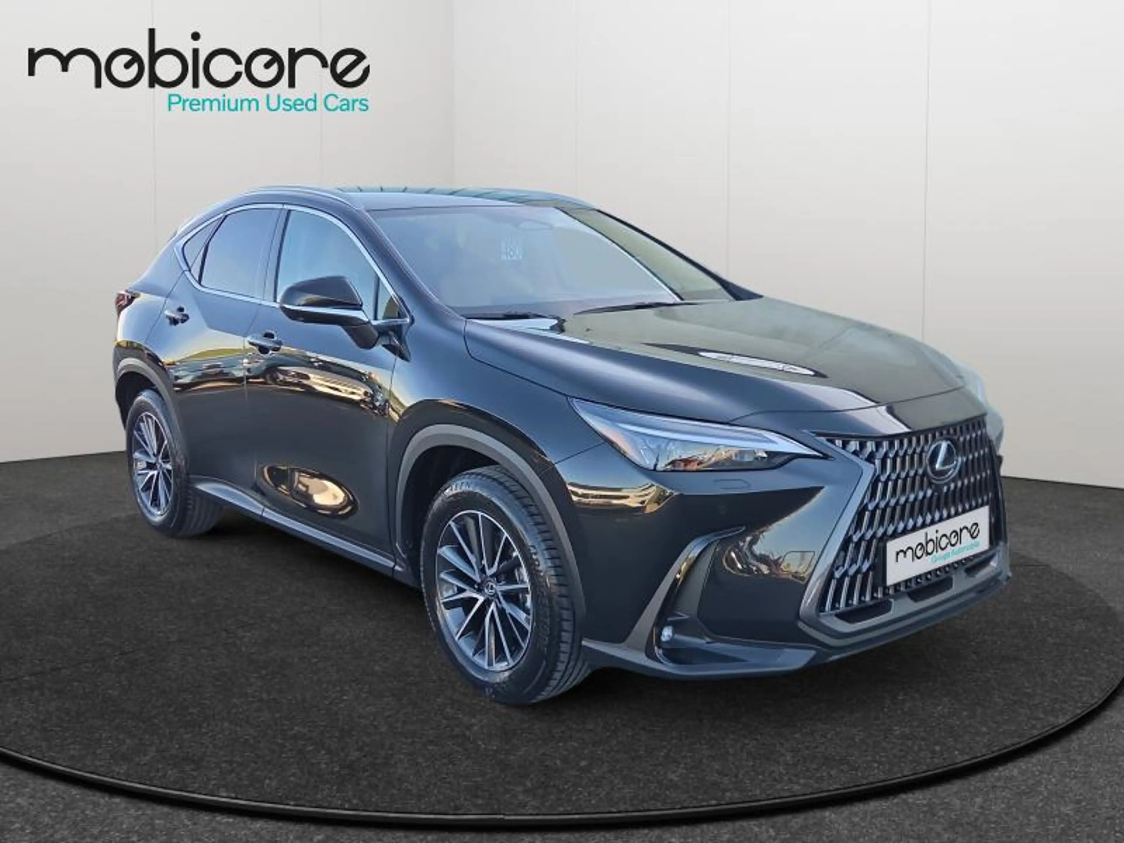 Lexus NX 350h Executive Line / Hybrid — photo 8