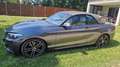 BMW 220 220i Cabrio M Sport Aut. M Sport Grau - thumbnail 6