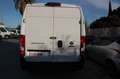 Fiat Ducato L3.Euro6.PASSO LUNGO TETTO ALTO Bianco - thumbnail 4
