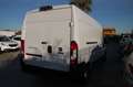 Fiat Ducato L3.Euro6.PASSO LUNGO TETTO ALTO Bianco - thumbnail 5