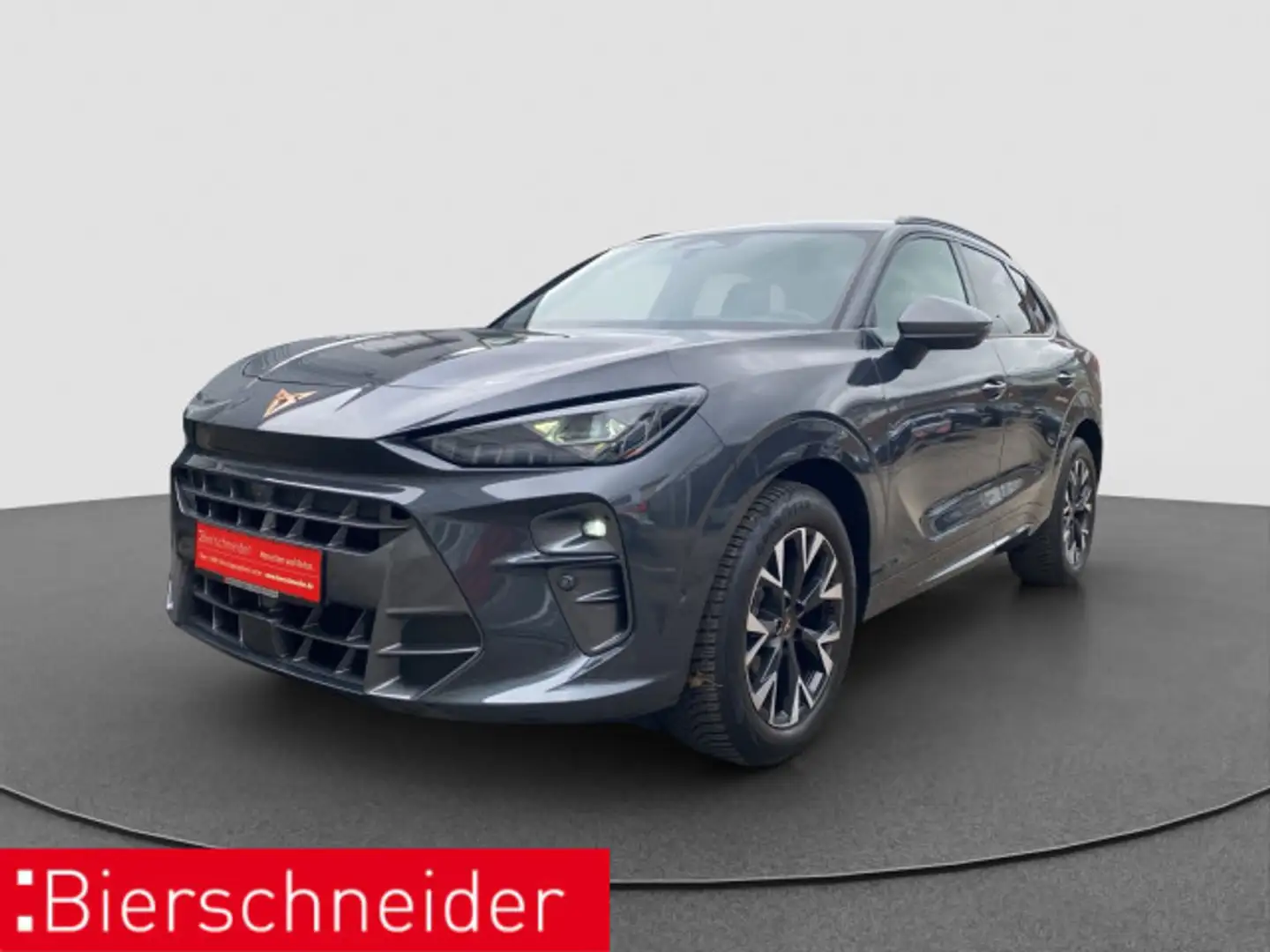 CUPRA Terramar 1.5 eTSI DSG ACC HuD MEMORY EHECK Grijs - 2