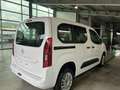 Opel Combo Cargo 1.5 D 100CV S&S - N1- 5 POSTI - NETTO IVA Bianco - thumbnail 7