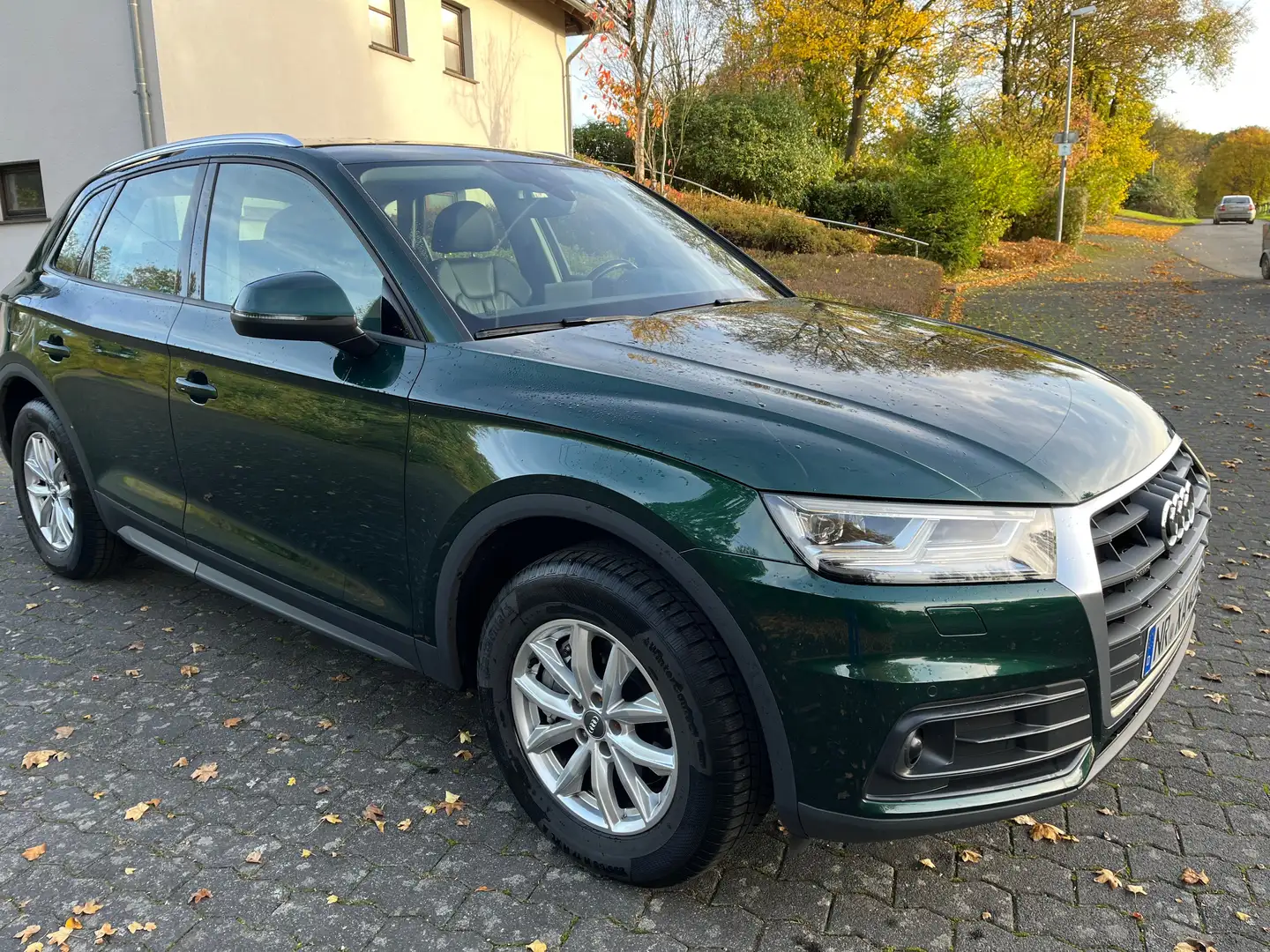 Audi Q5 Q5 2.0 TDI quattro S tronic Grün - 1