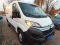 Citroen Jumper PROLINE*1.HD*Klima*Kamera*Temp*TÜV NEU Weiß - thumbnail 2