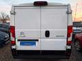 Citroen Jumper PROLINE*1.HD*Klima*Kamera*Temp*TÜV NEU Weiß - thumbnail 7