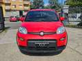 Fiat Panda 1.0 FireFly S&S Hybrid Sport Rosso - thumbnail 2