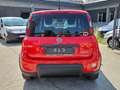 Fiat Panda 1.0 FireFly S&S Hybrid Sport Rosso - thumbnail 5