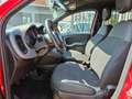 Fiat Panda 1.0 FireFly S&S Hybrid Sport Rosso - thumbnail 8