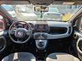 Fiat Panda 1.0 FireFly S&S Hybrid Sport Rosso - thumbnail 9