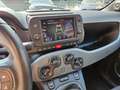 Fiat Panda 1.0 FireFly S&S Hybrid Sport Rosso - thumbnail 12