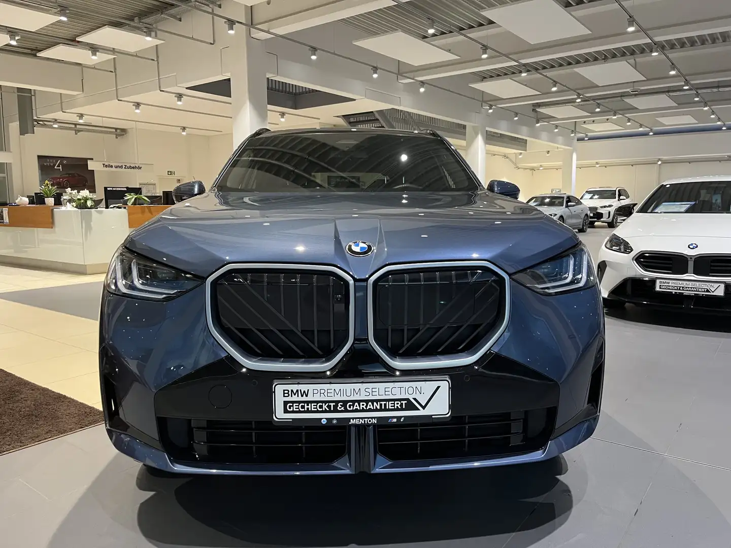 BMW X3 20 xDrive M Sportpaket/AHK/Standhzg./Kamera/Harman Blau - 2