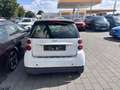 smart forTwo coupe pure / Klima Blanc - thumbnail 12