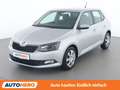 Skoda Fabia 1.2 TSI Ambition Grau - thumbnail 1