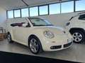 Volkswagen New Beetle New Beetle Cabrio 1.9 tdi limited Red Edition Blanc - thumbnail 1