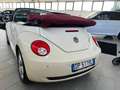 Volkswagen New Beetle New Beetle Cabrio 1.9 tdi limited Red Edition Blanco - thumbnail 7