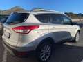 Ford Kuga Kuga II 2013 2.0 tdci Titanium 2wd s Argento - thumbnail 6