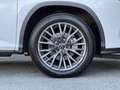Lexus RX 450h 450h 4WD F SPORT Executive MC19 Білий - thumbnail 9