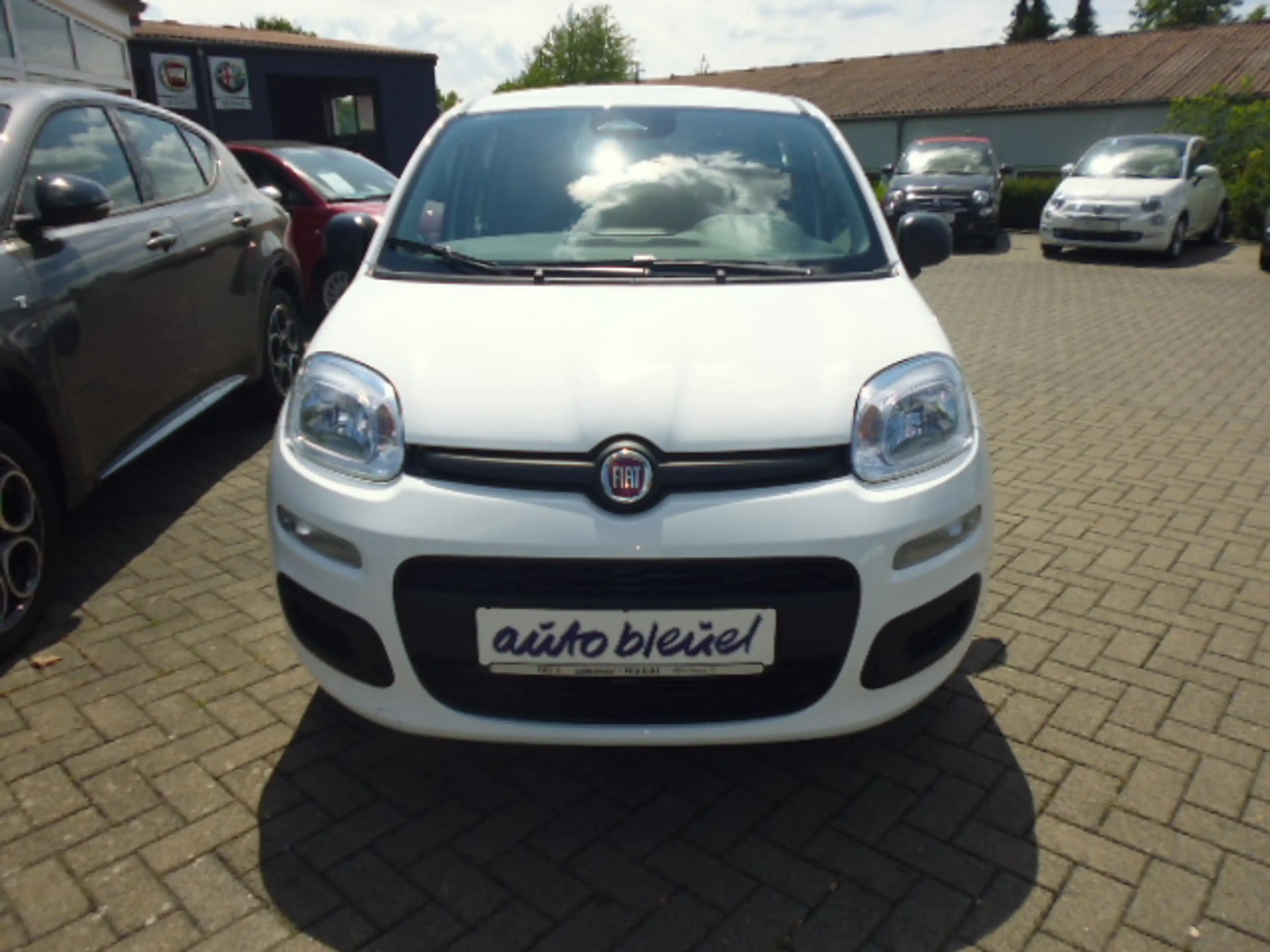 Fiat Pandina 1.0 GSE Hybrid 48 kW Icon in weiß und blau verfügbar — photo 3
