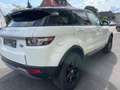 Land Rover Range Rover Evoque TD4 Pure Blanc - thumbnail 7