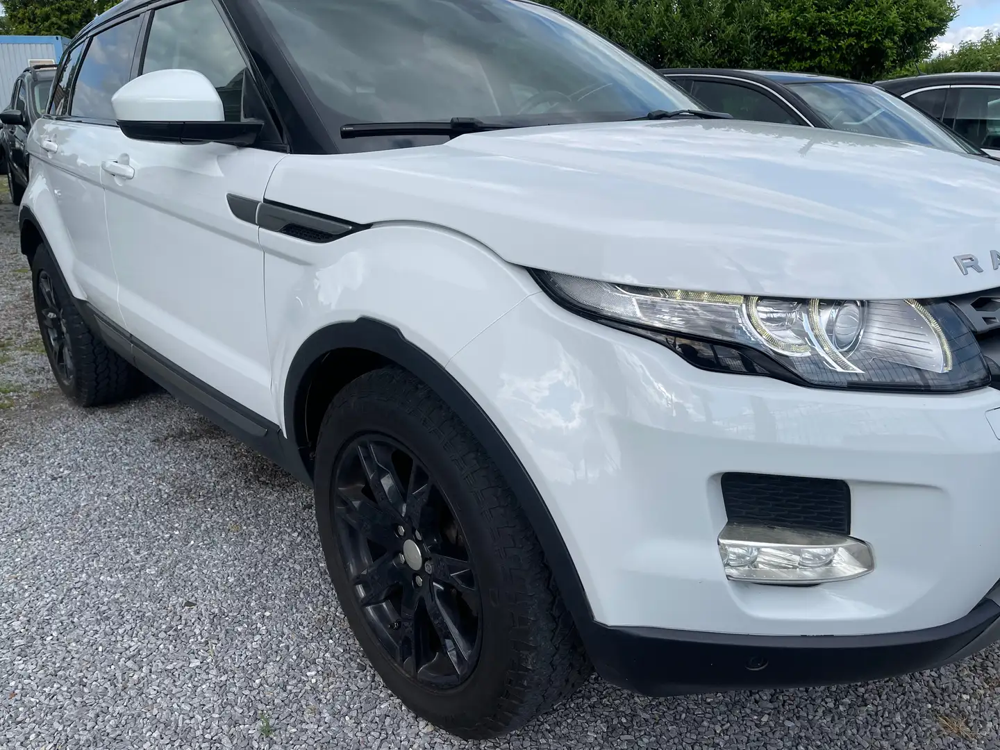Land Rover Range Rover Evoque TD4 Pure Blanc - 2