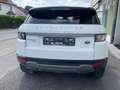 Land Rover Range Rover Evoque TD4 Pure Blanc - thumbnail 9
