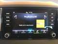 Skoda Karoq 2.0 TDI Ambition Blanco - thumbnail 13