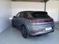 Porsche Cayenne E-Hybrid Black Edition Grün - thumbnail 10