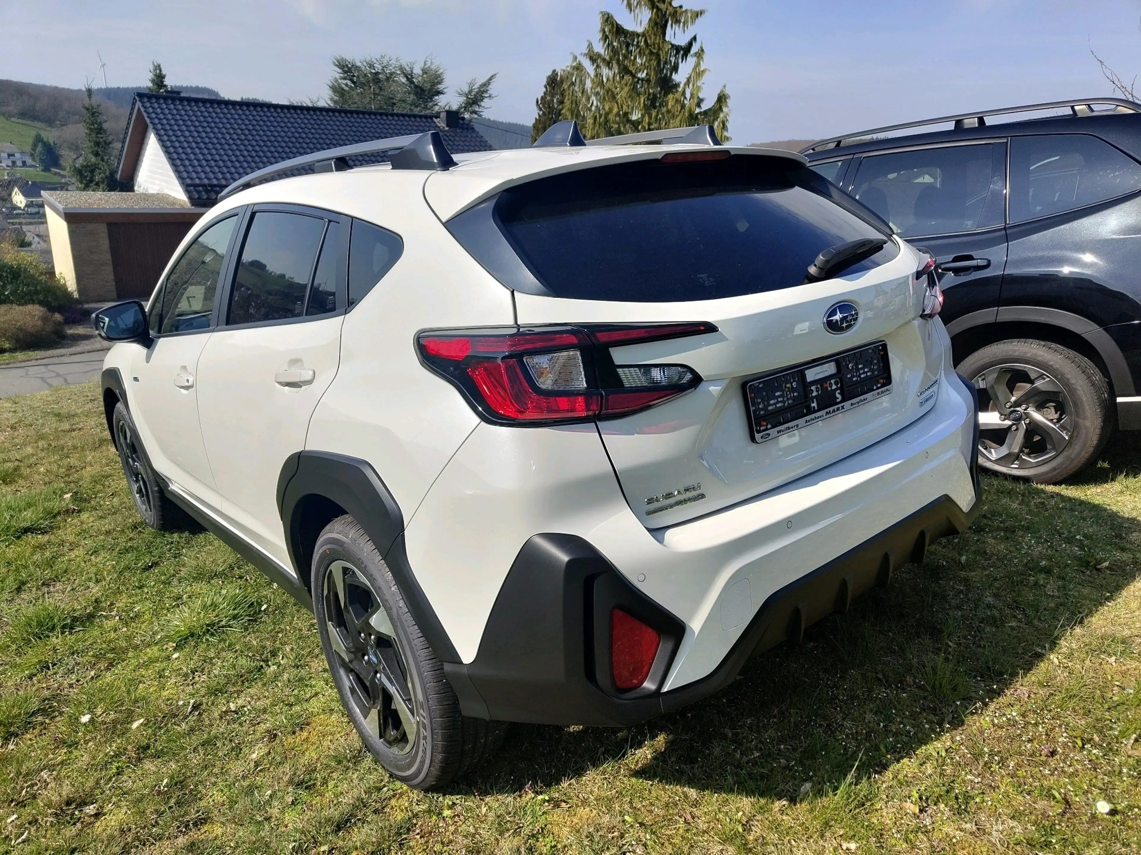 Subaru Crosstrek Platinum — photo 4